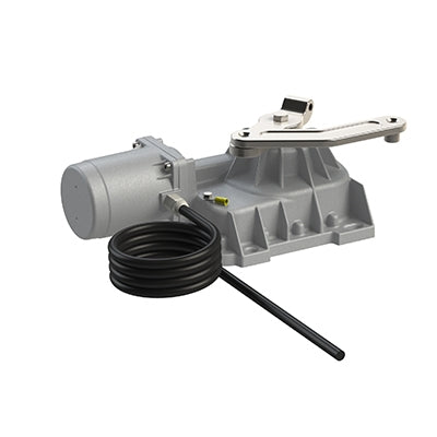 ROGER TECHNOLOGY BR21 Brushless Motor - 36v